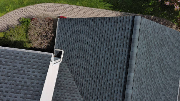 Best Roof Moss and Algae Removal  in De Motte, IN